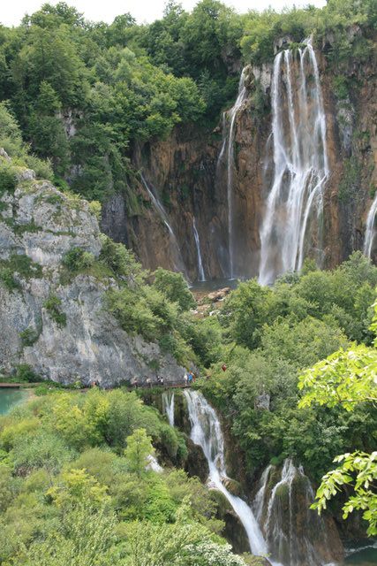 gal/cro 08/small-IMG_5588.JPG